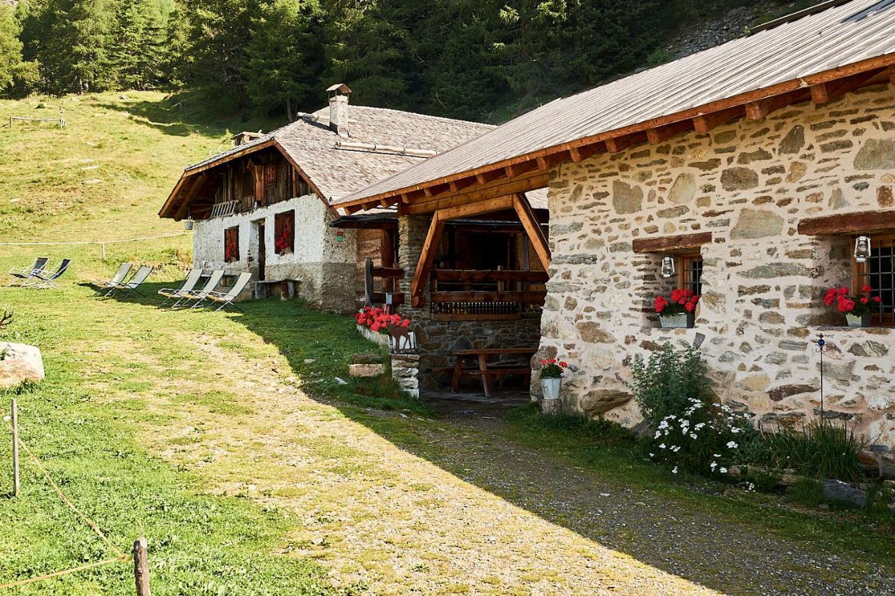Nestalp Malga Campo Peio Exterior foto