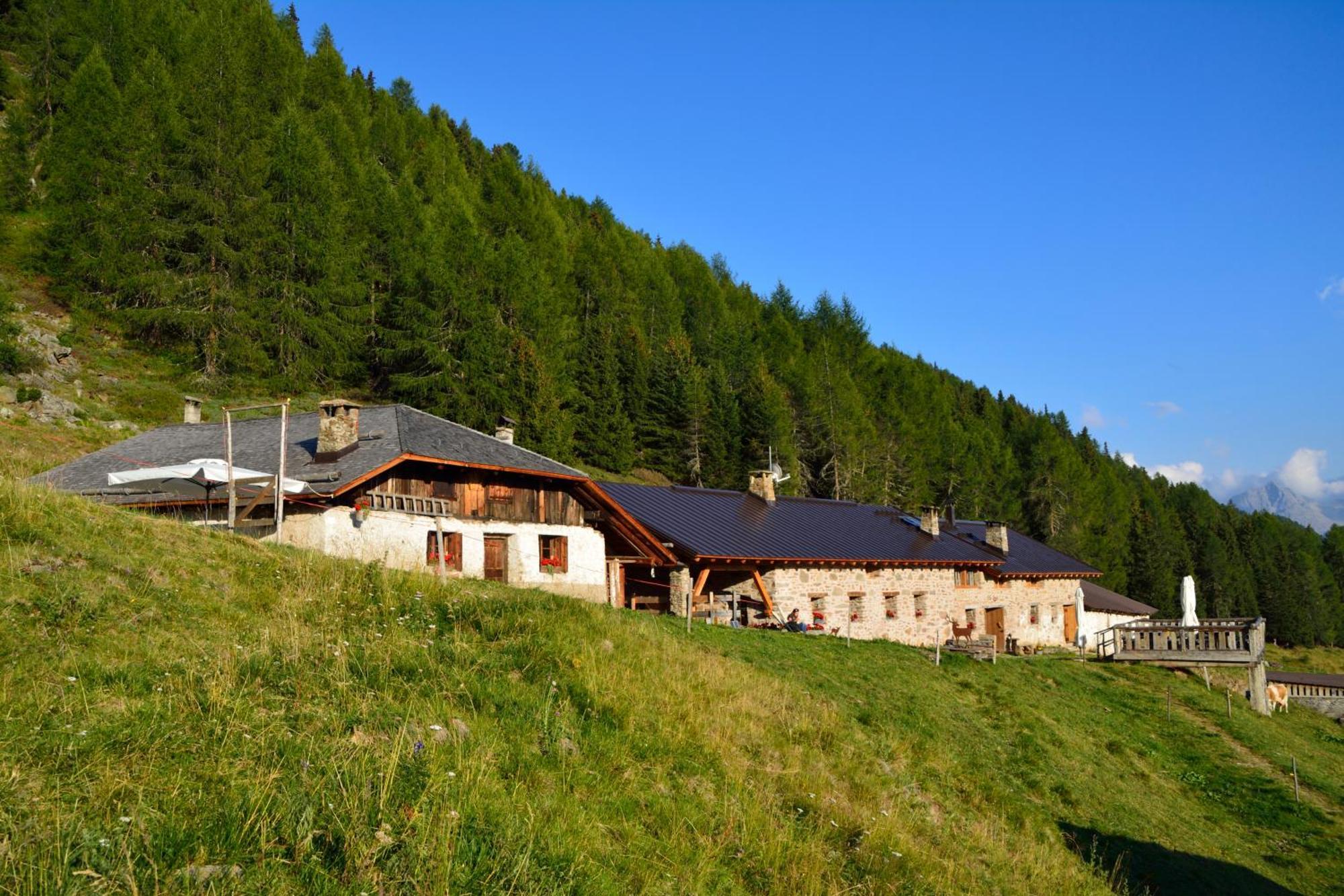 Nestalp Malga Campo Peio Exterior foto