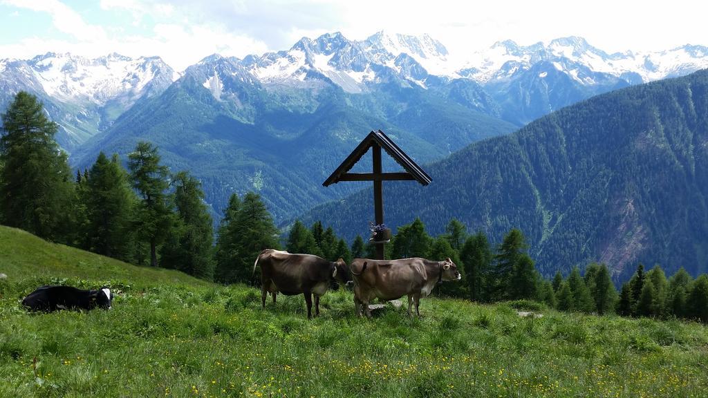 Nestalp Malga Campo Peio Exterior foto