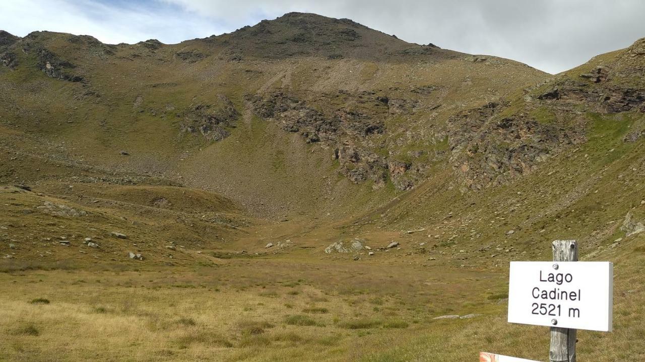 Nestalp Malga Campo Peio Exterior foto